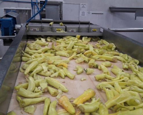 Separador magnético tipo placa